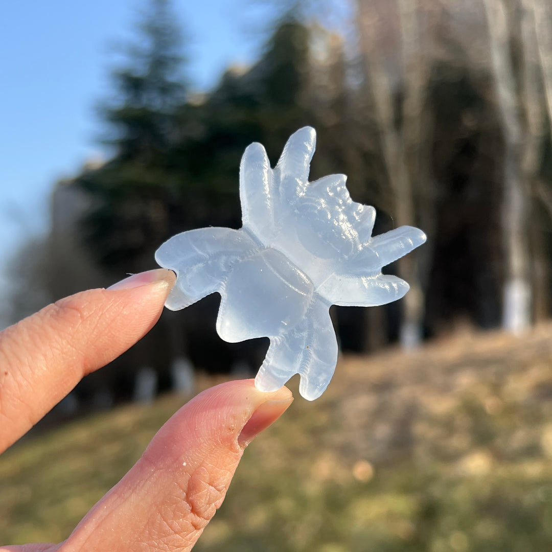 Natural Crystal Carving Selenite Spider