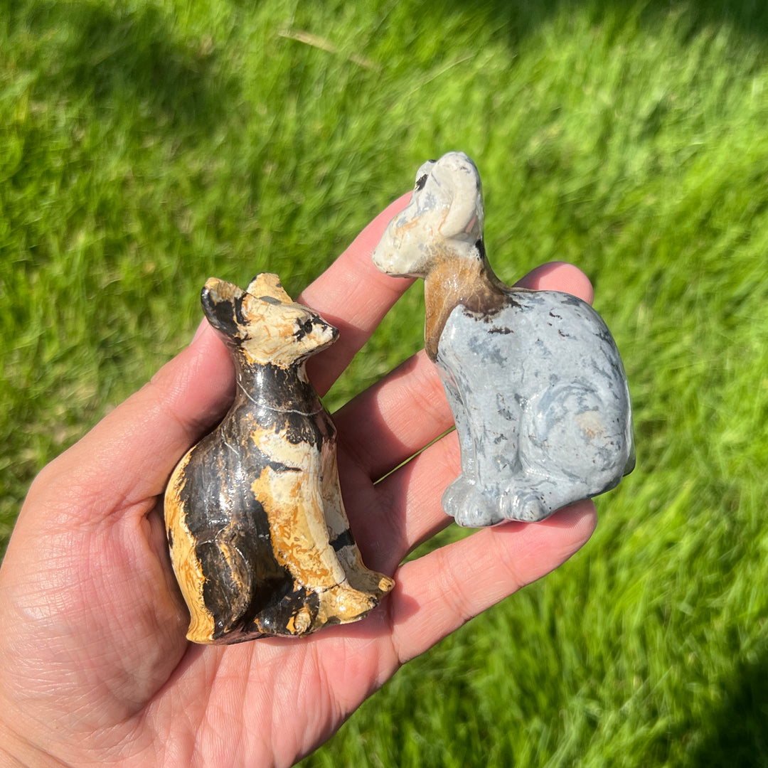 Picture Stone Sphynx Cat