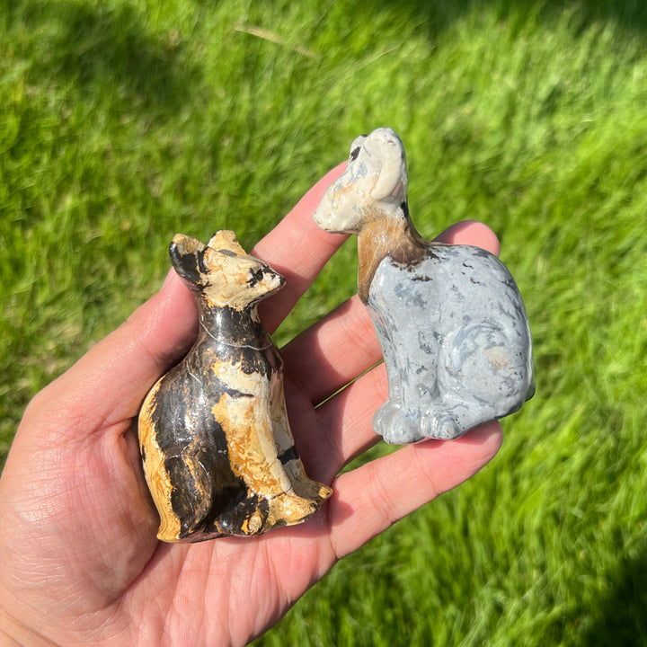 Picture Stone Sphynx Cat