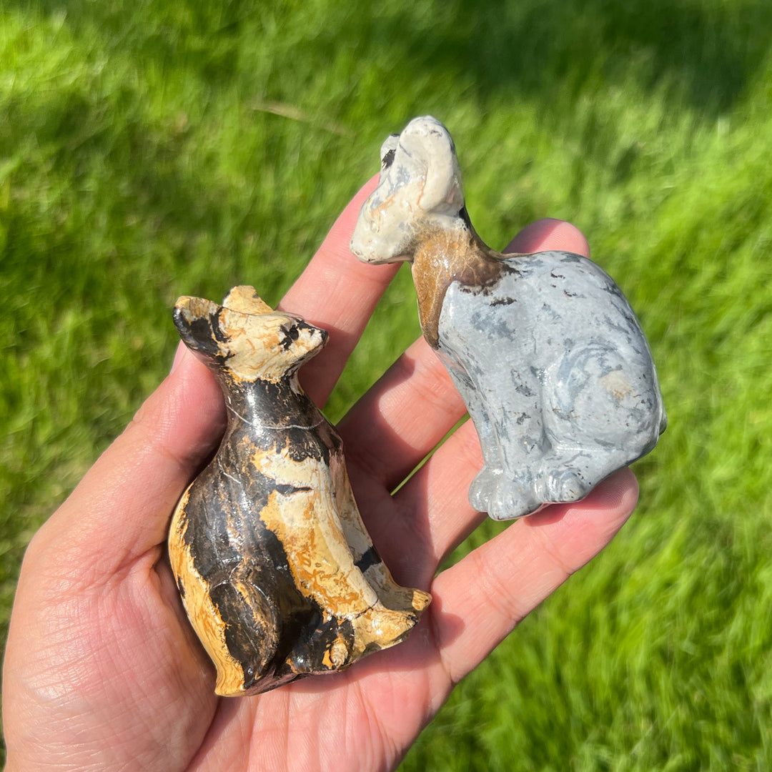 Picture Stone Sphynx Cat
