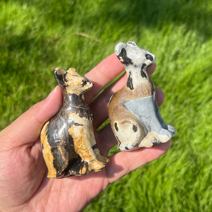 Picture Stone Sphynx Cat
