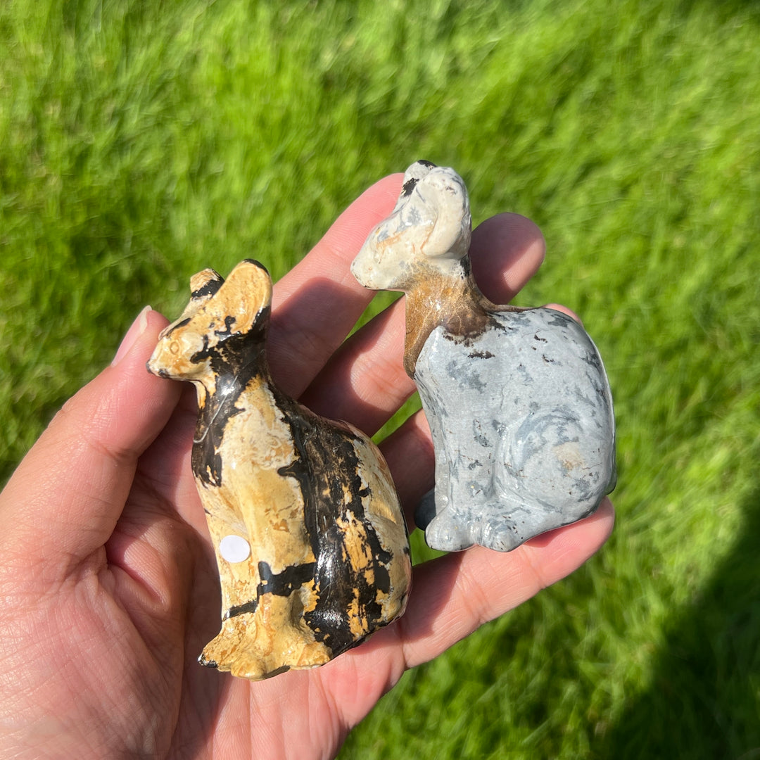 Picture Stone Sphynx Cat