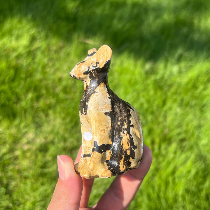 Picture Stone Sphynx Cat