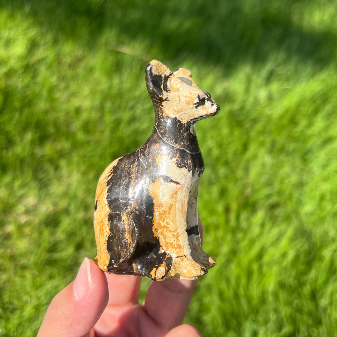 Picture Stone Sphynx Cat