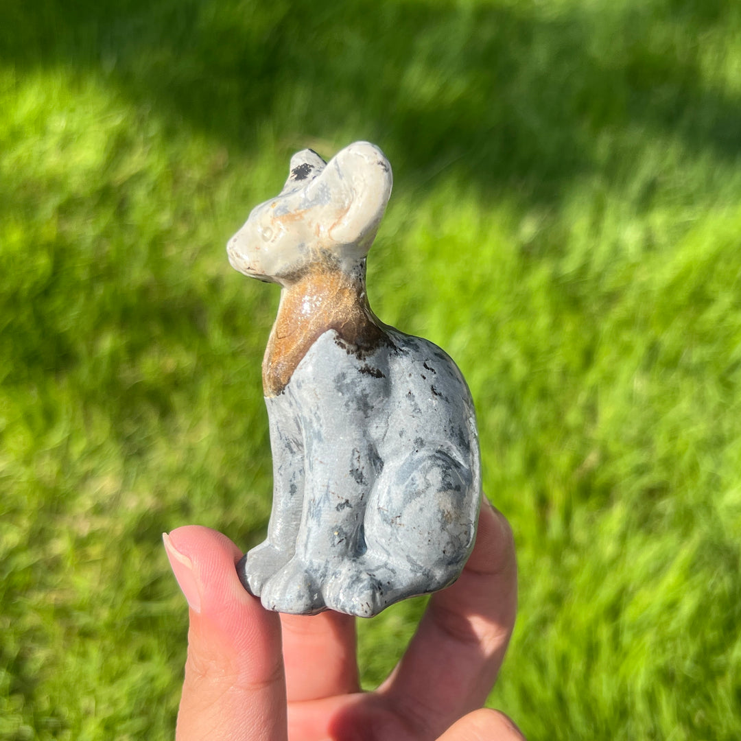 Picture Stone Sphynx Cat