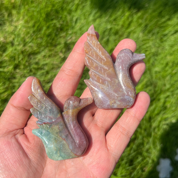 Ocean Jasper Swan