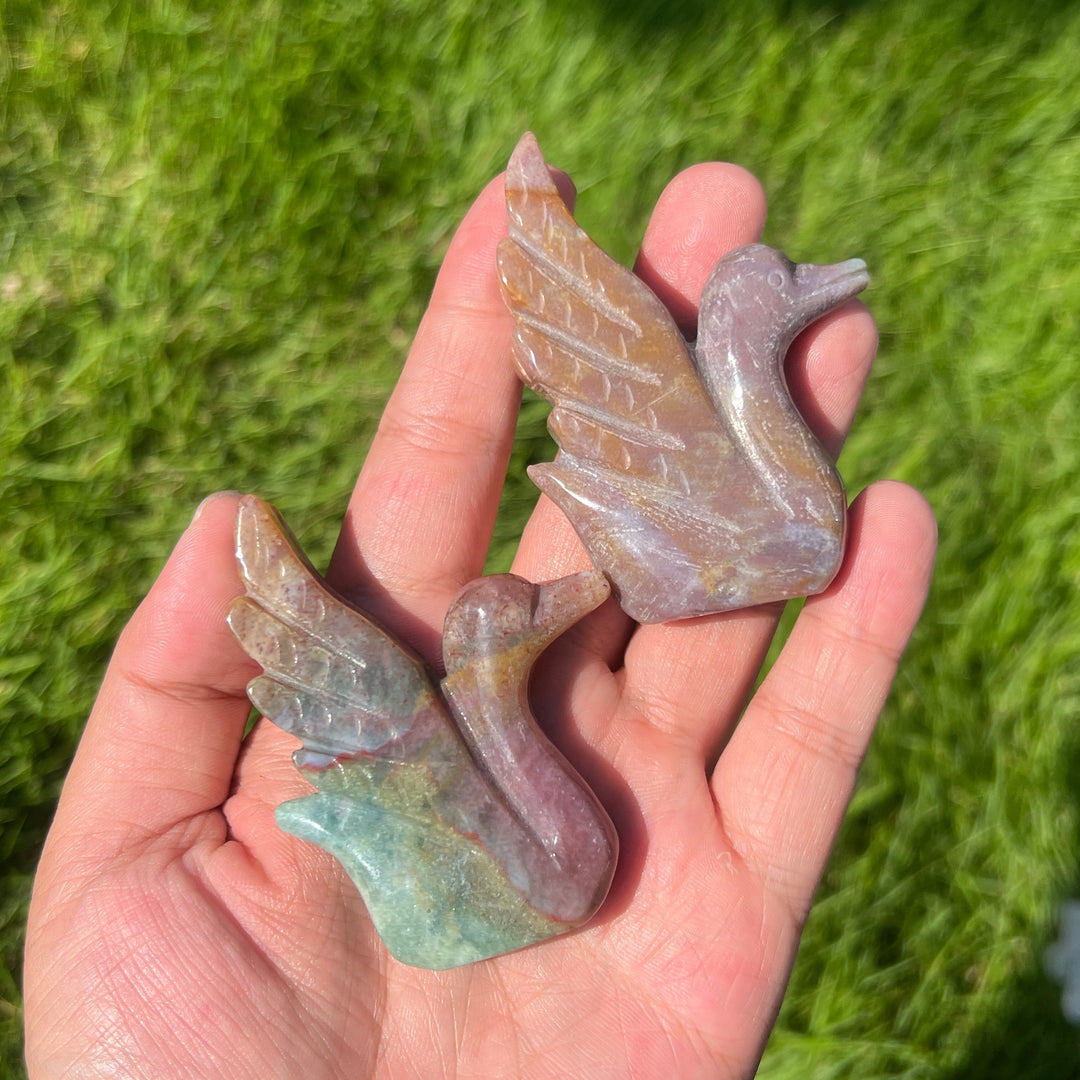 Ocean Jasper Swan