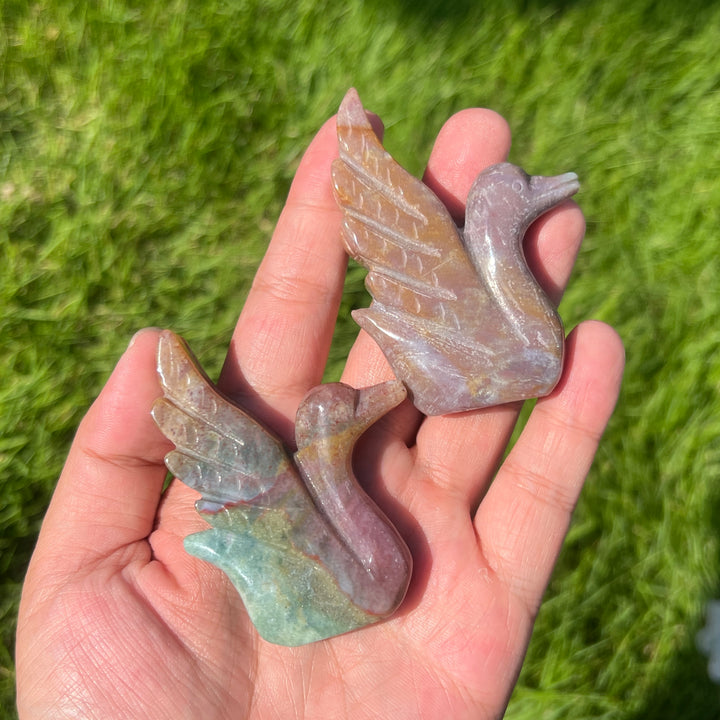 Ocean Jasper Swan