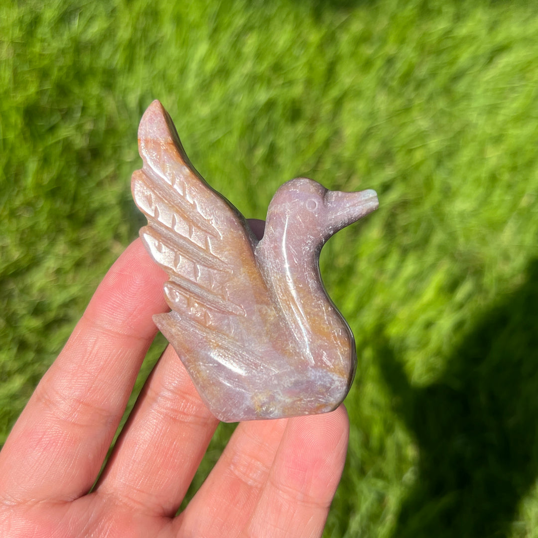 Ocean Jasper Swan