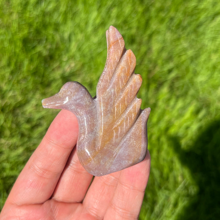 Ocean Jasper Swan