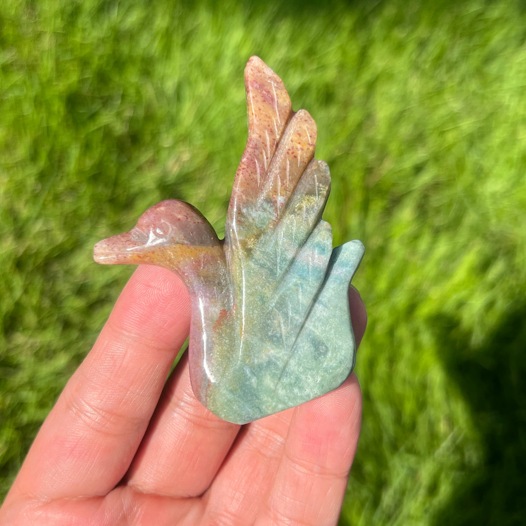 Ocean Jasper Swan