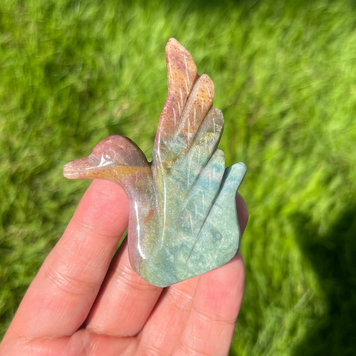 Ocean Jasper Swan