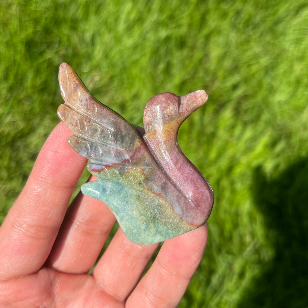 Ocean Jasper Swan