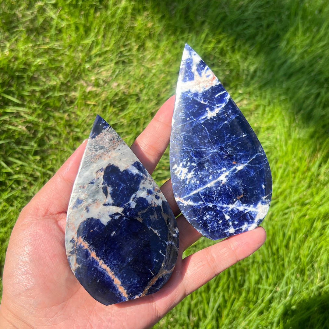 Sodalite Teardrop