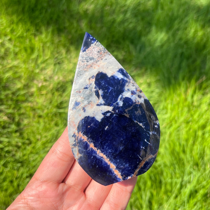 Sodalite Teardrop