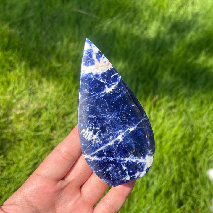 Sodalite Teardrop