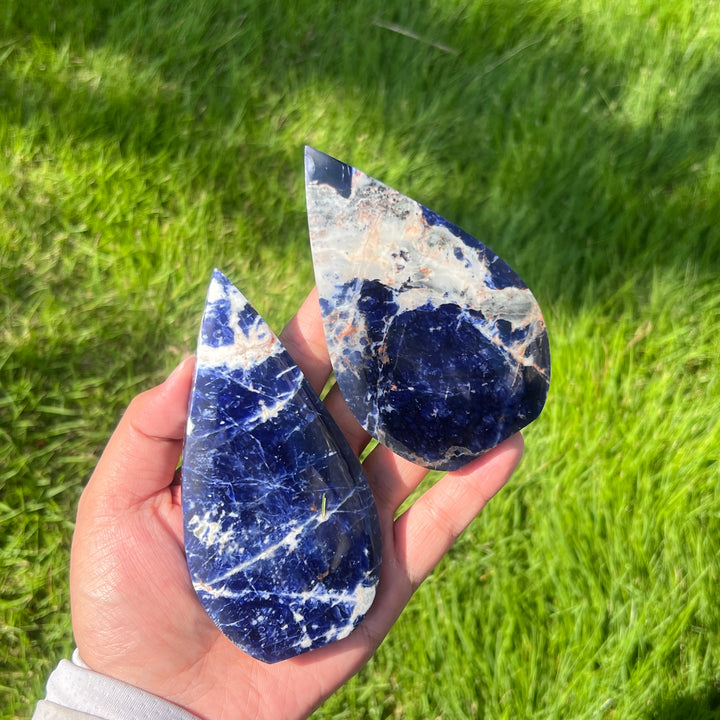 Sodalite Teardrop