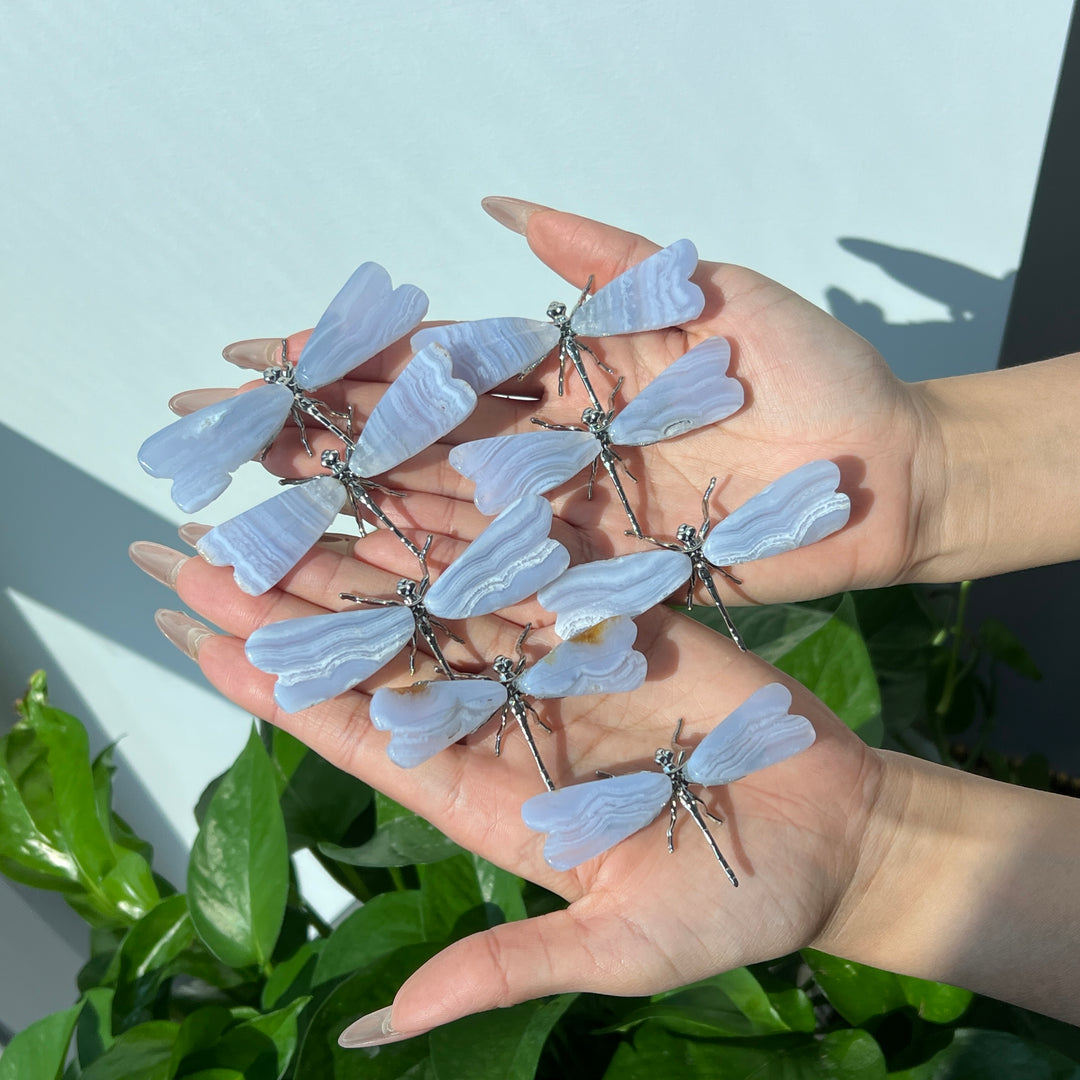 Blue Lace Agate Dragonfly