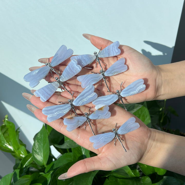 Blue Lace Agate Dragonfly