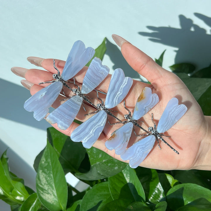 Blue Lace Agate Dragonfly