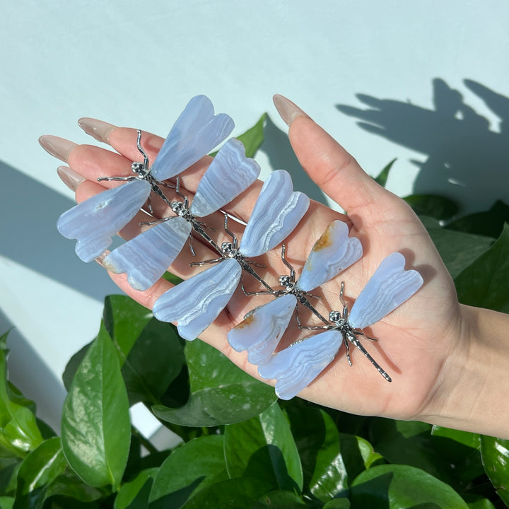 Blue Lace Agate Dragonfly