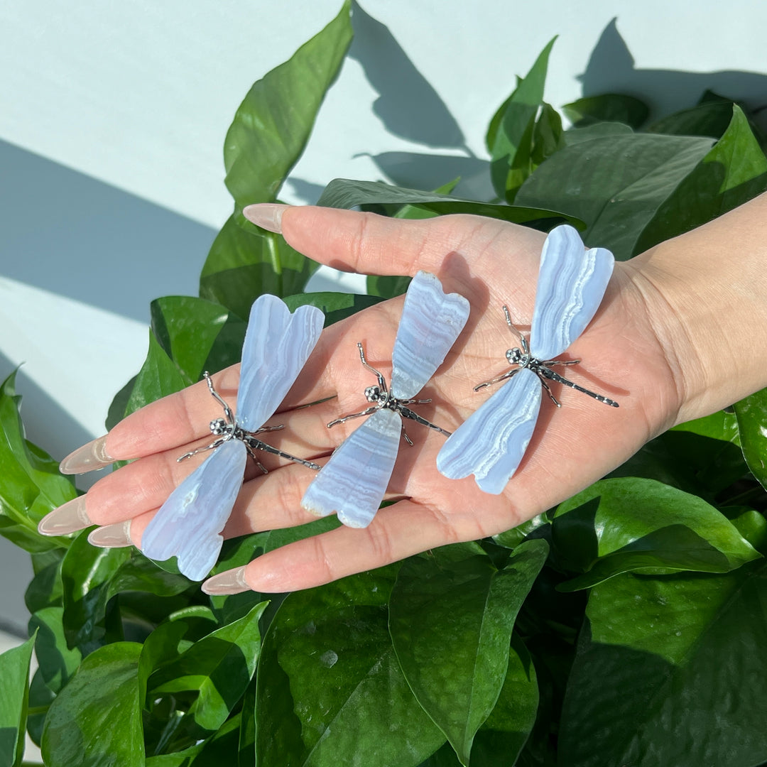 Blue Lace Agate Dragonfly