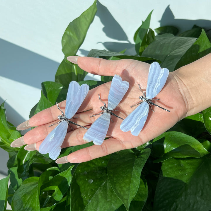 Blue Lace Agate Dragonfly