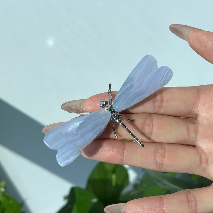Blue Lace Agate Dragonfly