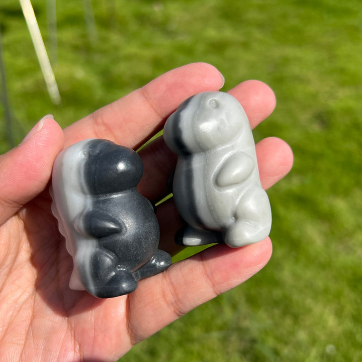 Taiji Stone Dragon Baby