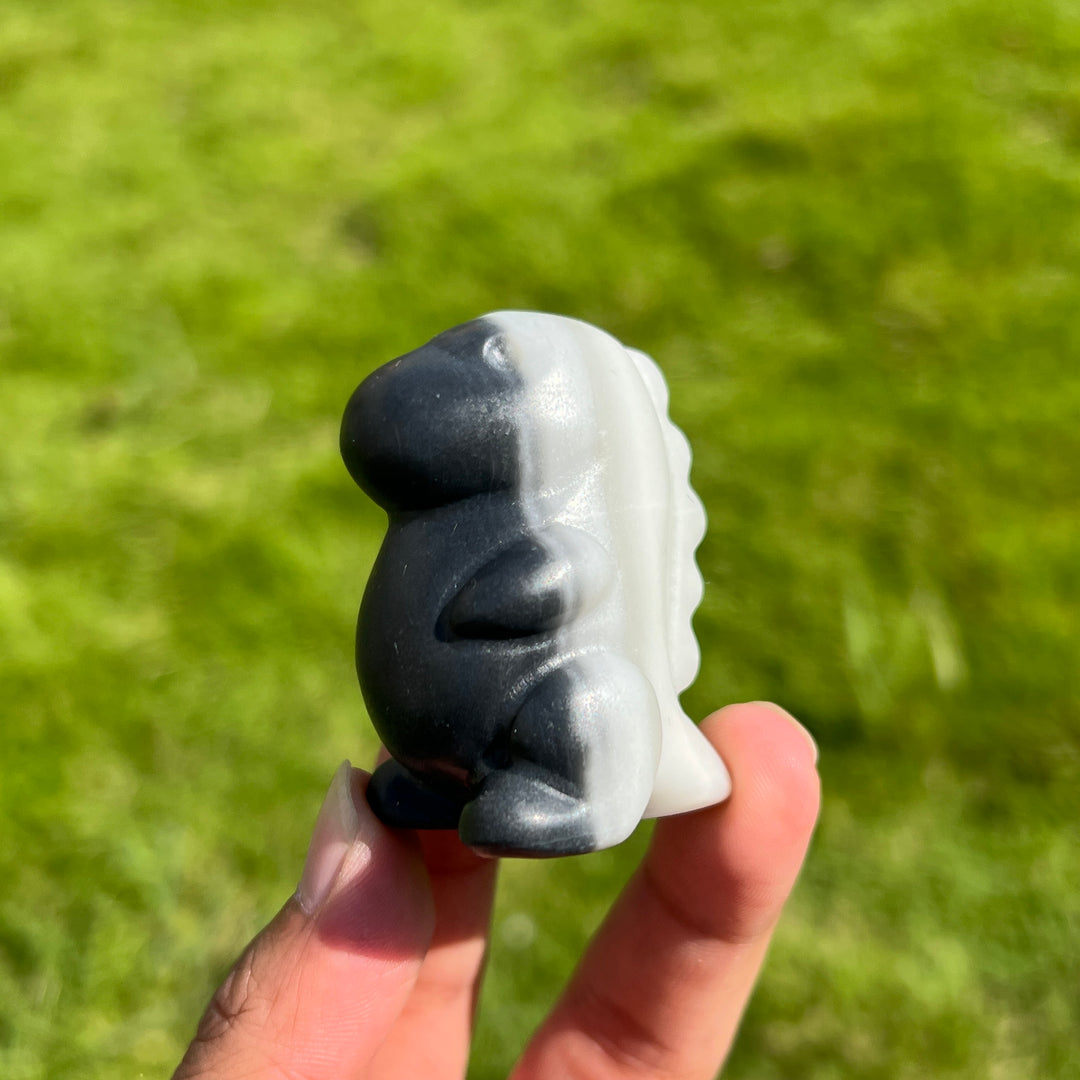 Taiji Stone Dragon Baby