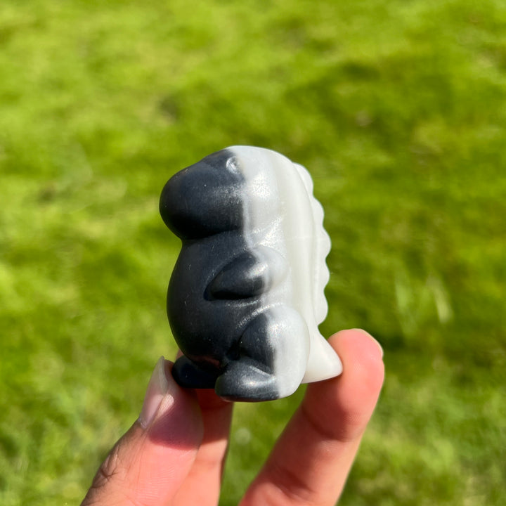 Taiji Stone Dragon Baby