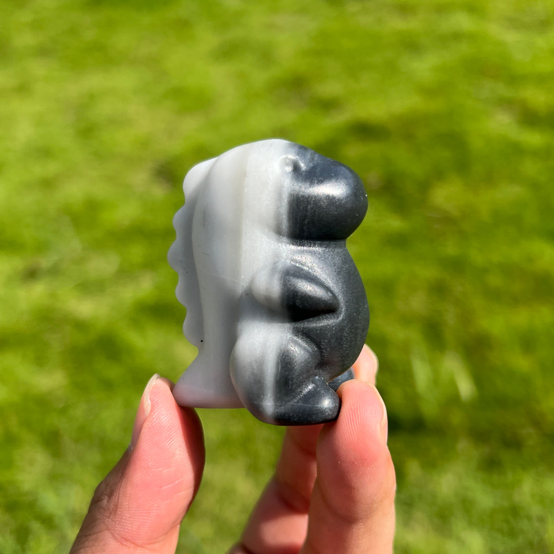 Taiji Stone Dragon Baby