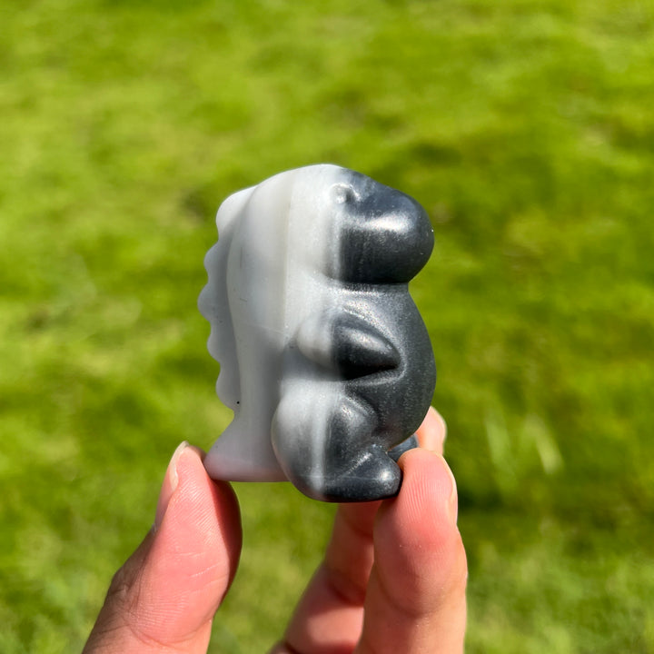 Taiji Stone Dragon Baby