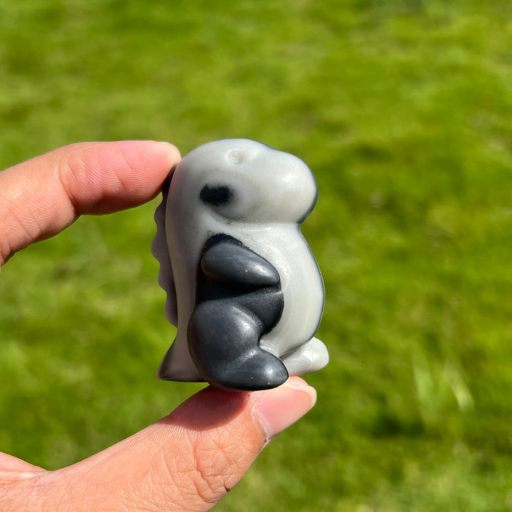 Taiji Stone Dragon Baby