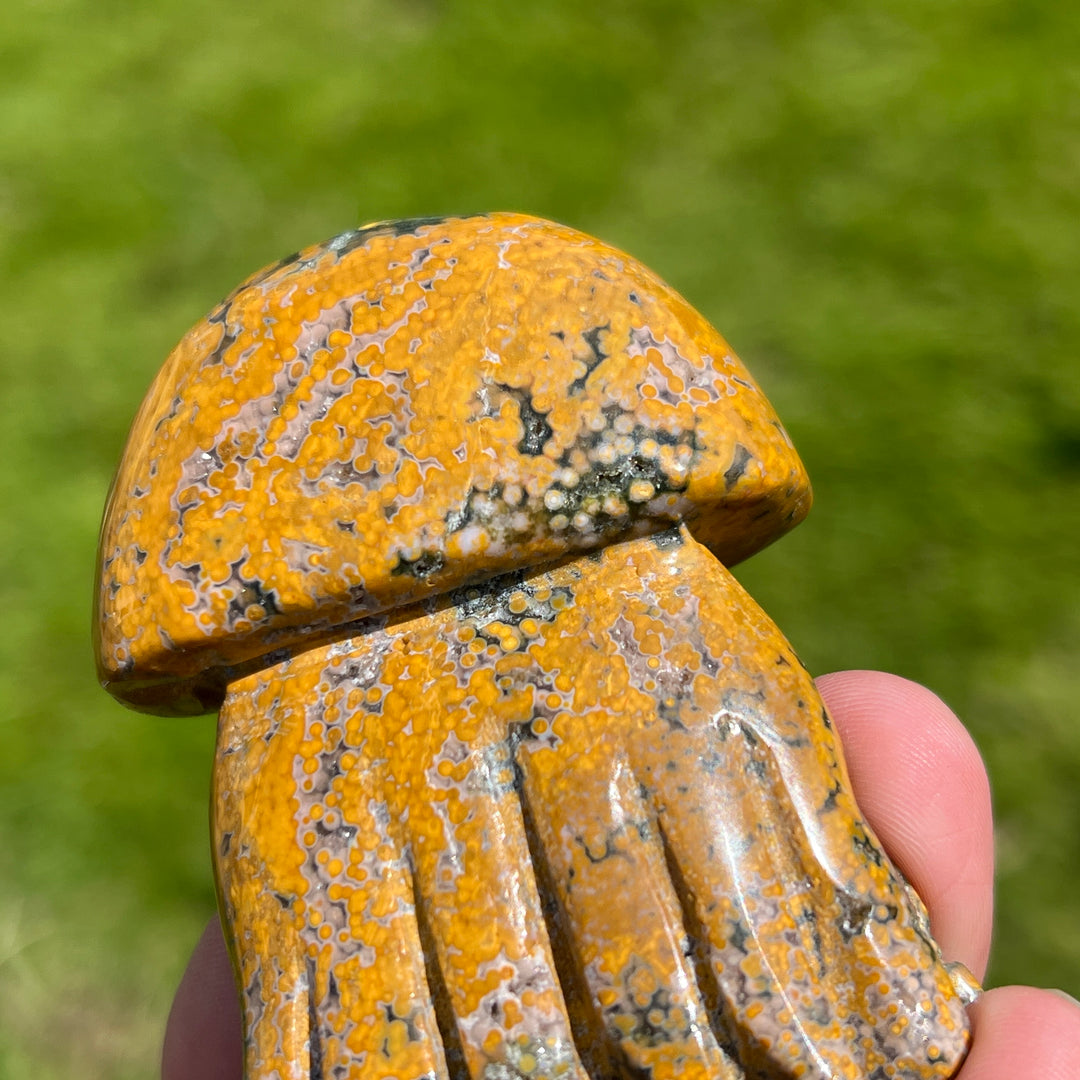 Ocean Jasper Jellyfish