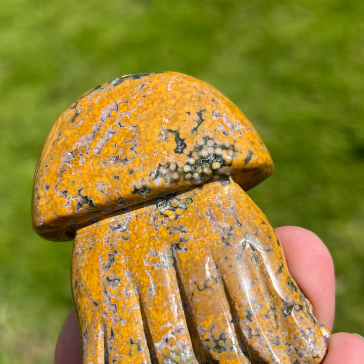 Ocean Jasper Jellyfish