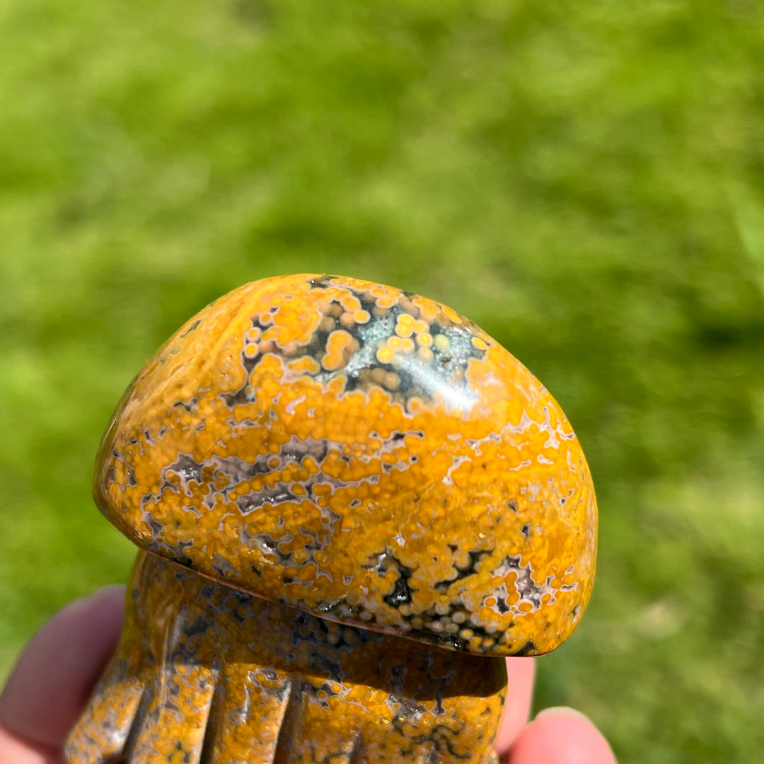 Ocean Jasper Jellyfish