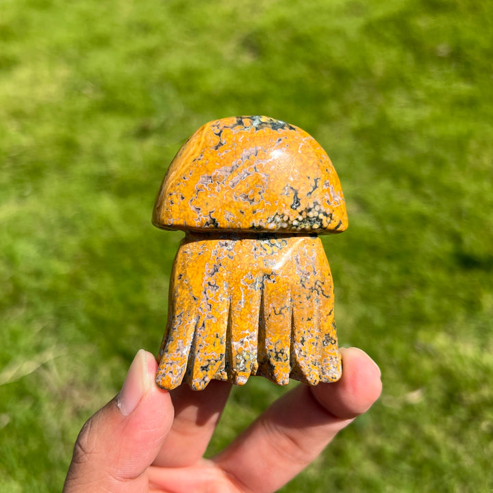 Ocean Jasper Jellyfish