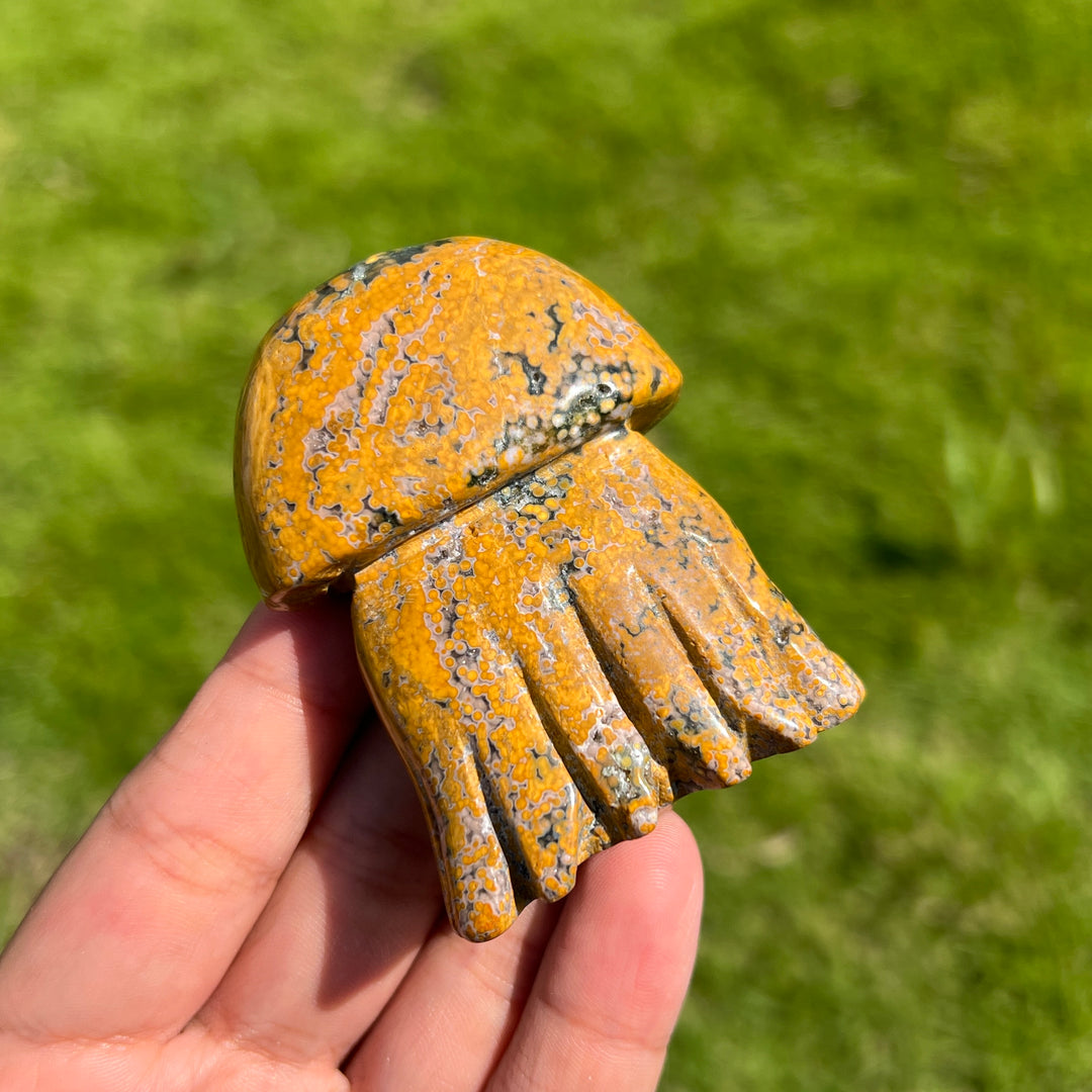Ocean Jasper Jellyfish