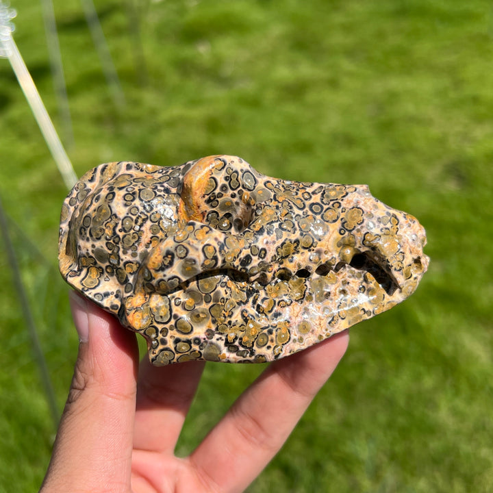 Natural Crystal Dinosaur Skull