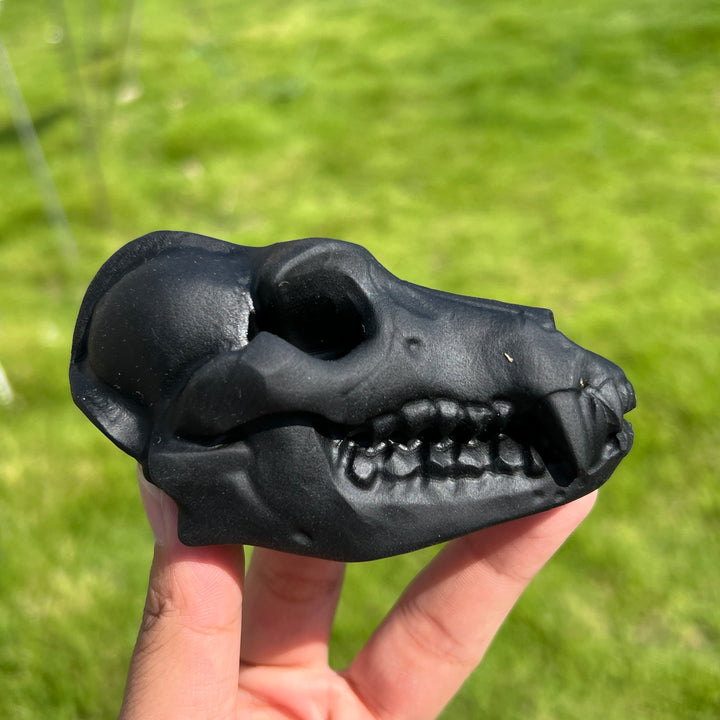 Natural Crystal Dinosaur Skull