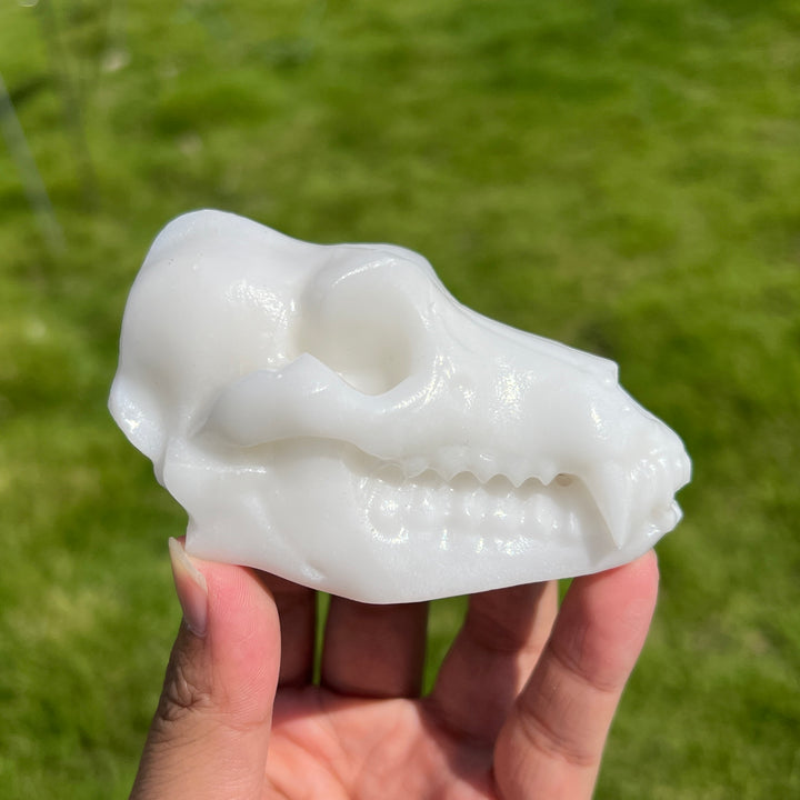 Natural Crystal Dinosaur Skull