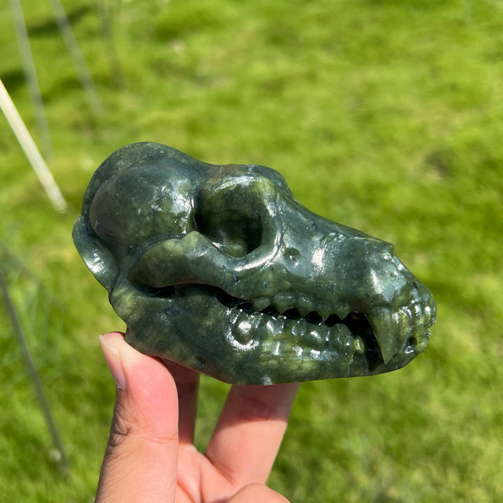 Natural Crystal Dinosaur Skull