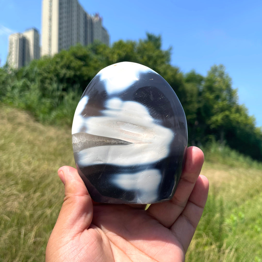 Unique,Natural Crystal Orca Agate Ornament