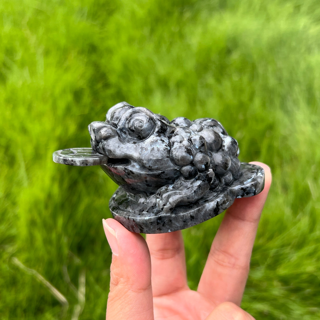 Natural Larvikite Money Toad