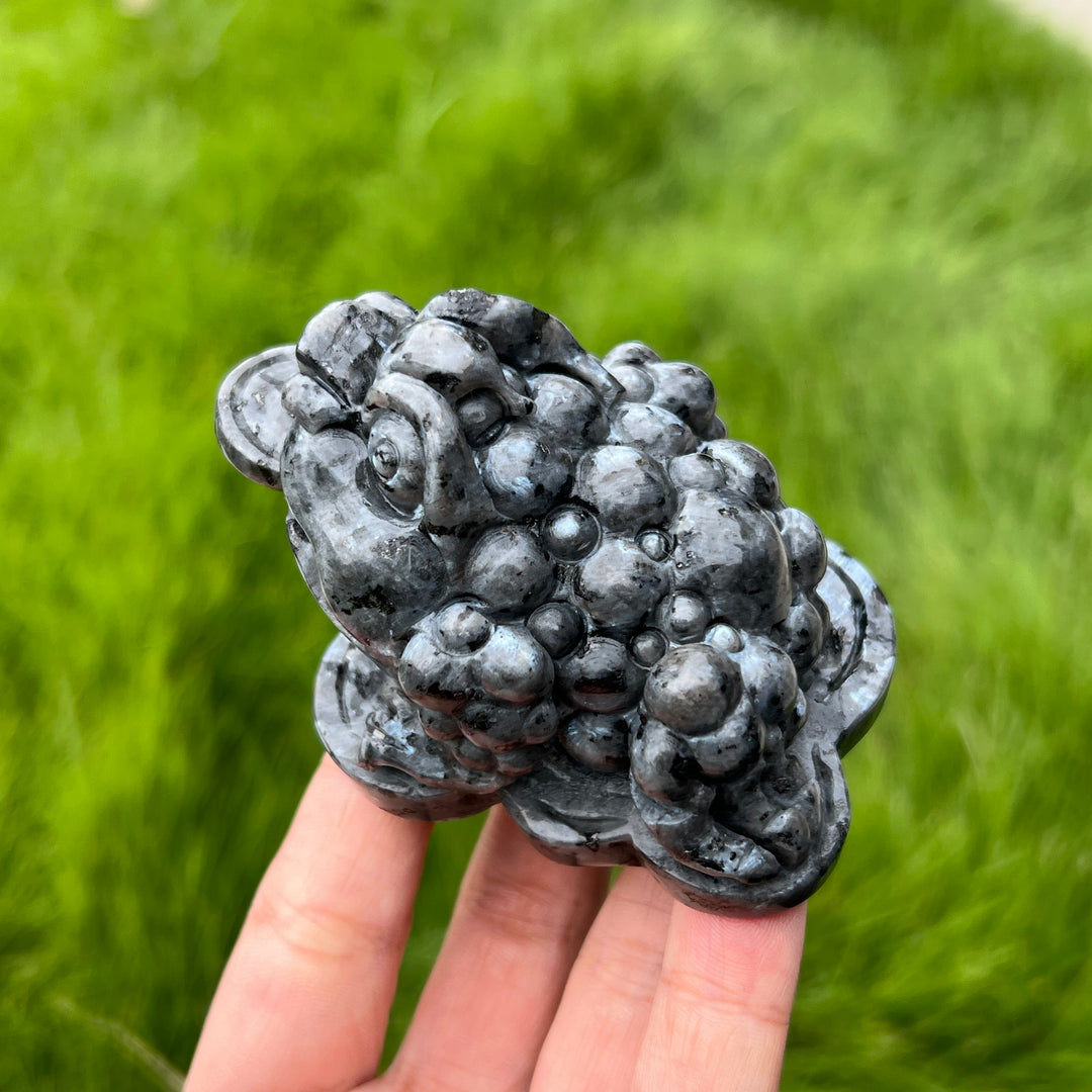 Natural Larvikite Money Toad
