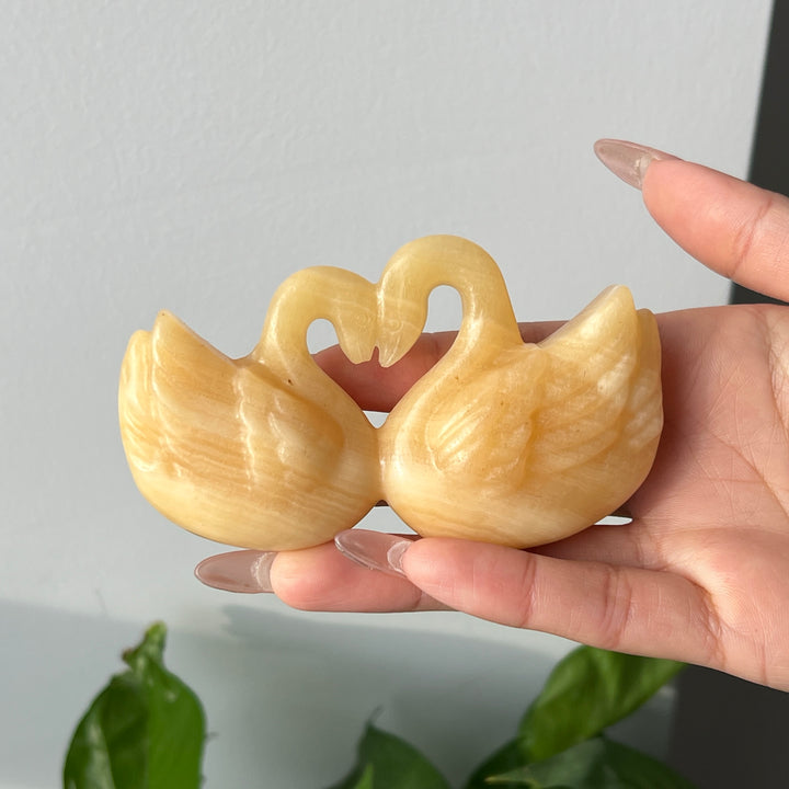 Natural Heart Shaped Swan