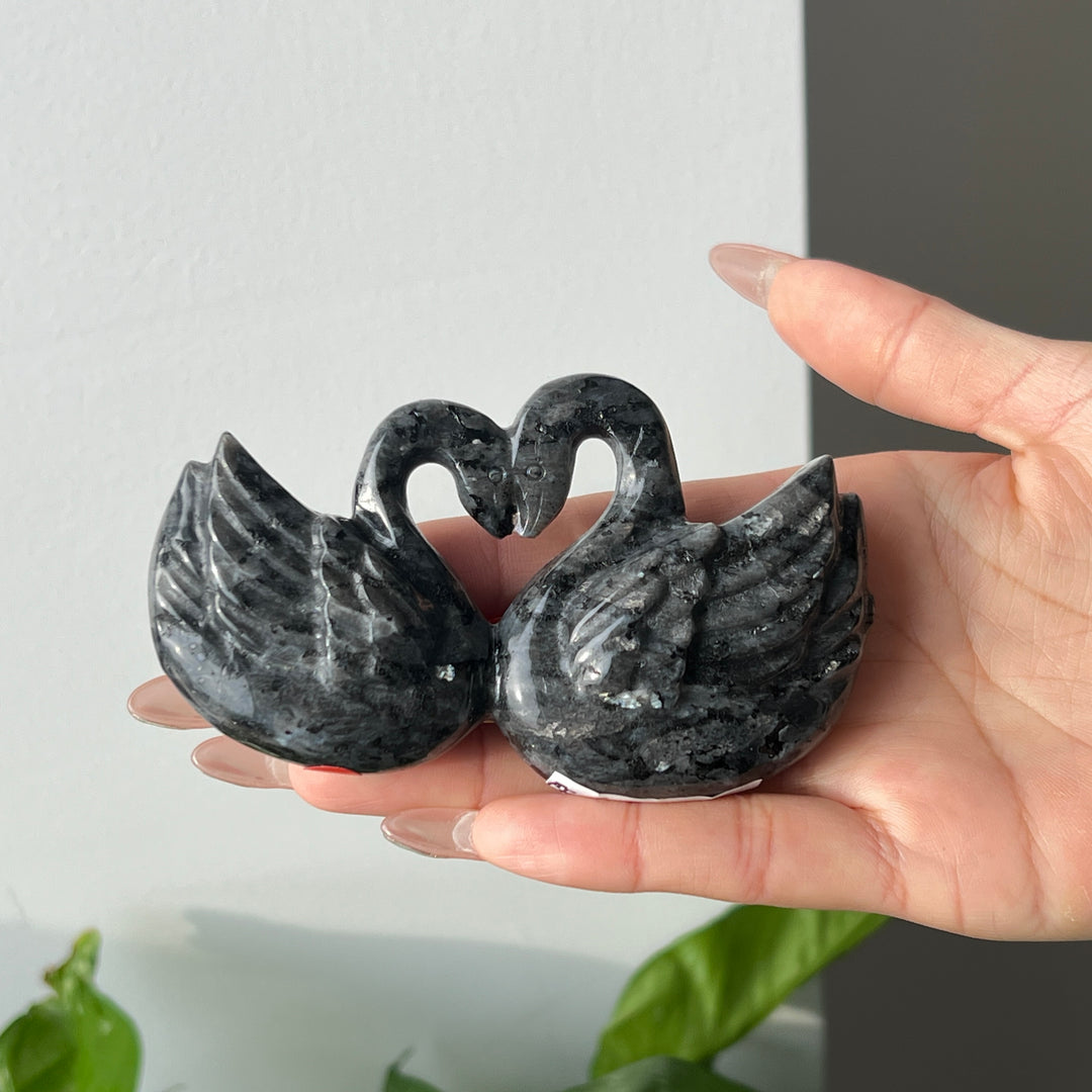 Natural Heart Shaped Swan