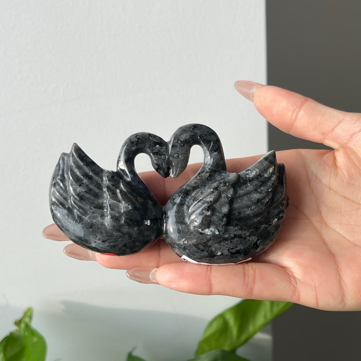 Natural Heart Shaped Swan