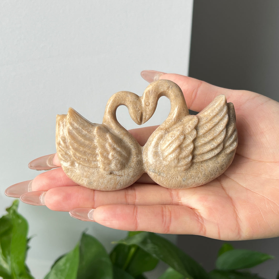 Natural Heart Shaped Swan
